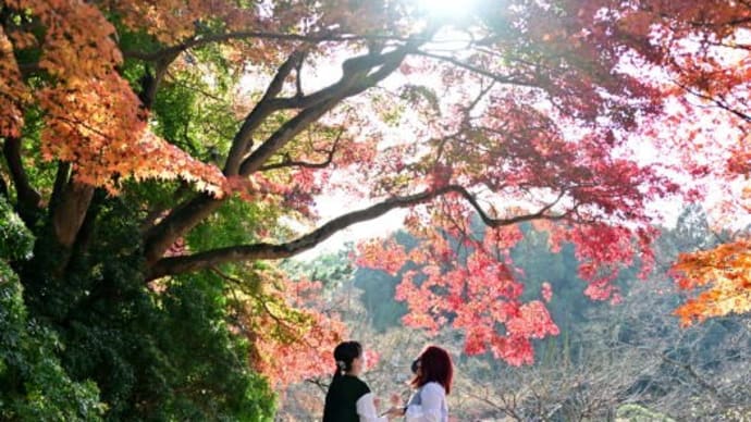 トミーの写真散歩!