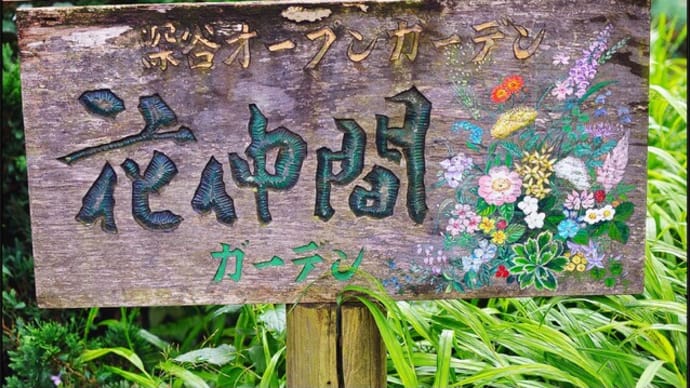 「ふかや緑の王国」で咲く花々