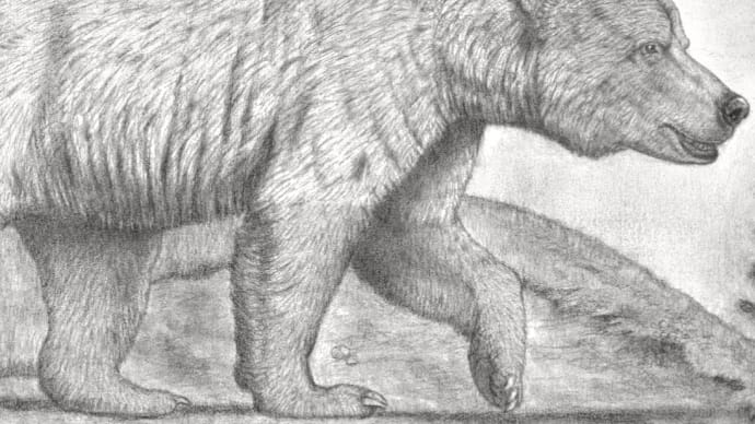 更新世中期・超獣ライバリー② 🐻 ヒグマの史上最大亜種 (次回プレヒストリック・サファリ全景の一部)