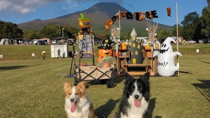 DOG FES IWAKI 2024