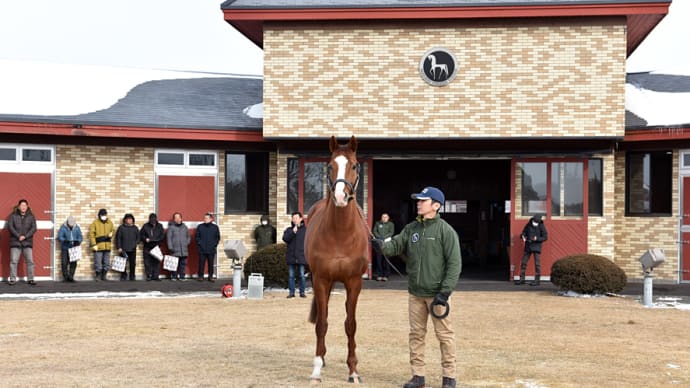 【ブリーダーズ・スタリオンS種牡馬展示会2020】が開催!(新種牡馬アルアインやシュヴァルグランなど18頭)