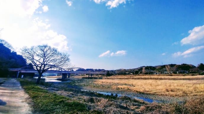 道の駅かつら