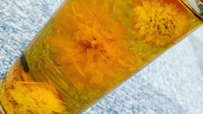 養生茶(菊花・マイカイカ)