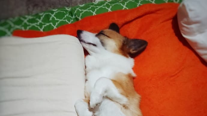 わたしももらい泣きしちゃった