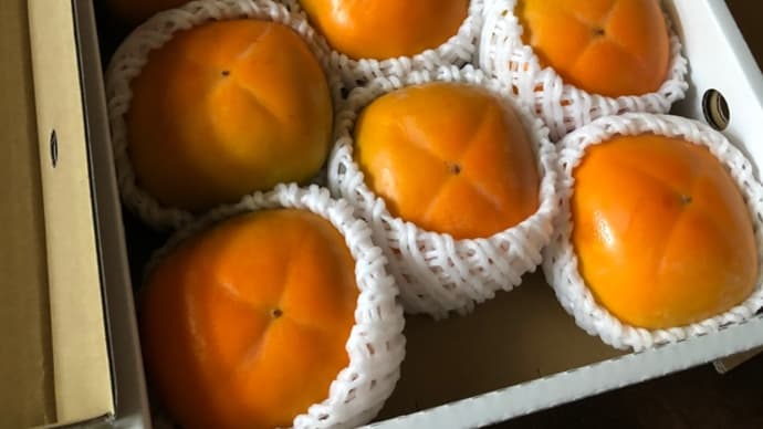 美味しいモノが届いたよ( ´ ▽ ` )ノ