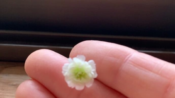 活動終了に向けてのプロセス
