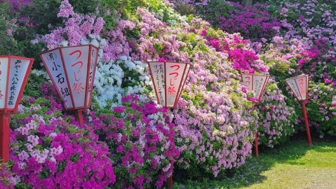「つつじも見頃に~宝福寺~」