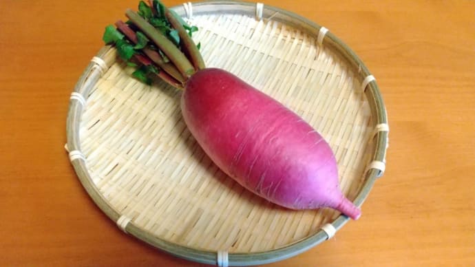 熊本県産のお野菜を買いました