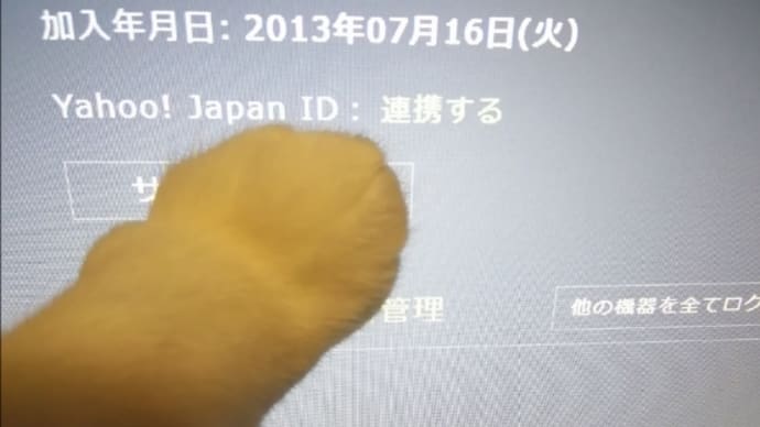 Hulu 8時だョ!全員集合
