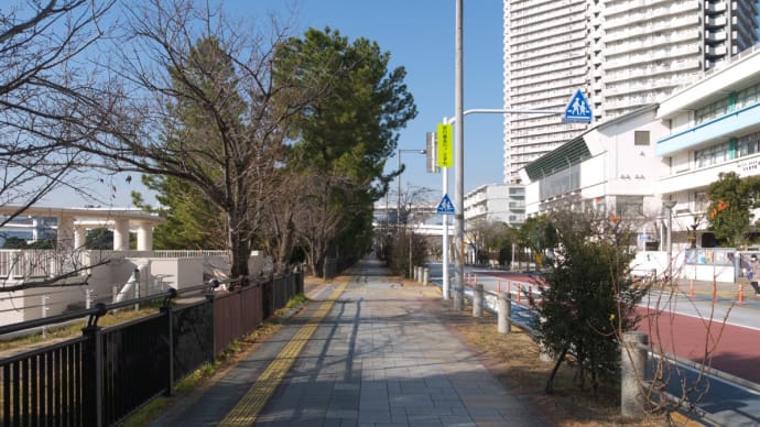 1月のレインボーブリッジ:ゆりかもめお台場海浜公園駅から歩行者遊歩道入口前へ PART2