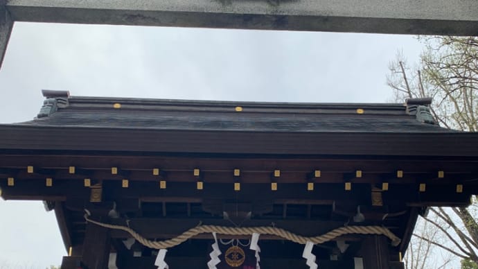 桜の京都へ