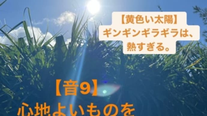 〜マヤ暦K49 赤い月・黄色い太陽・音10〜 初めてのシェアハウス体験