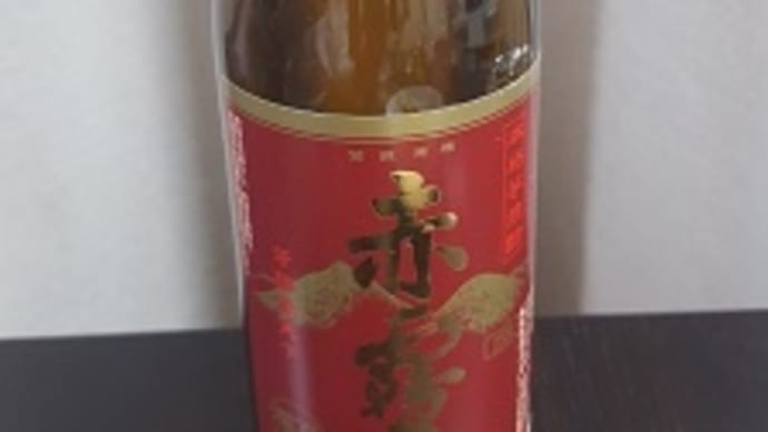 11月2本目