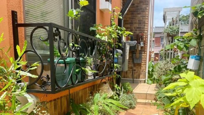 花や緑をもっと身近に
