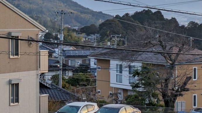 エササニの言葉 ゼラチン?コラーゲン?摂ってます