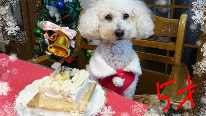 メリークリスマス✨🎄✨