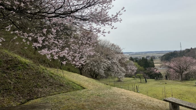 活かすぜ羽越本線100年17「新発田駅以北・私の提案(その2)」