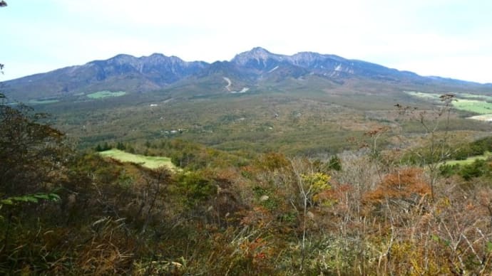 飯盛山 咲き残りのセンブリは八重も 2024.10.22
