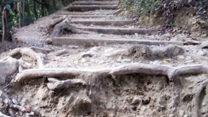 高尾山の稲荷山コース