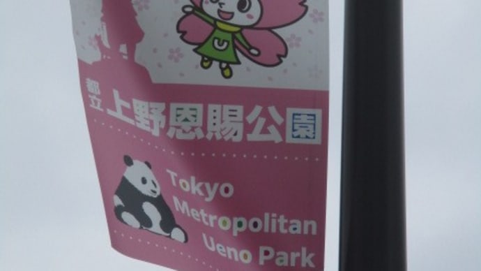 東京・上野公園をテクテク散歩・・・東京文化会館、西洋美術館、国立博物館などなど文化の香り溢れるインテリジェンス空間です 西郷さんにもご挨拶!