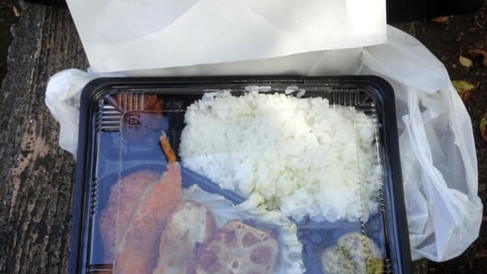 谷中で290円の弁当とE531系赤電ラッピング