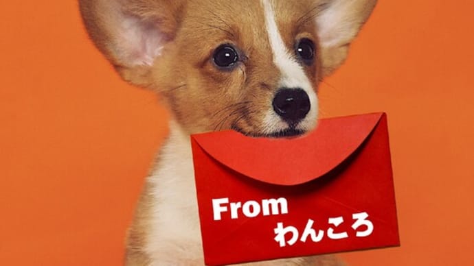 大切なメールが迷惑メールファルダに