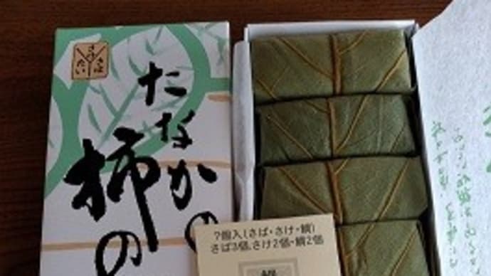 よっ、吉野の一本サクラ