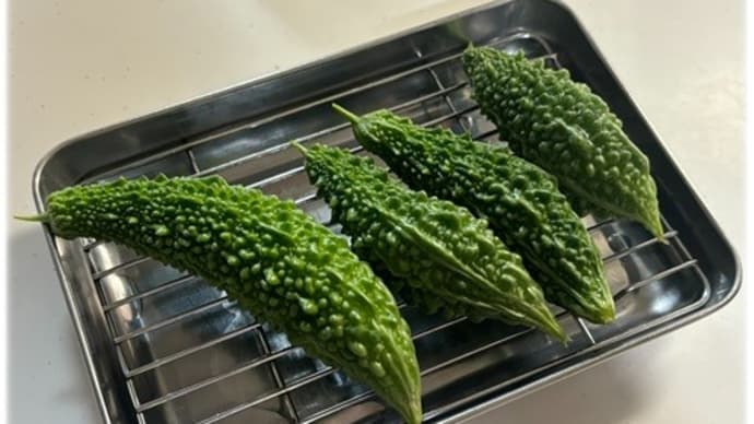9月も終わりです~過保護のゴーヤも終わりです