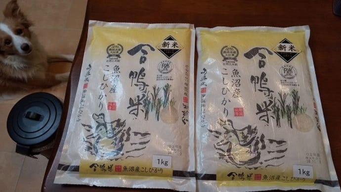 合鴨米魚沼産コシヒカリ