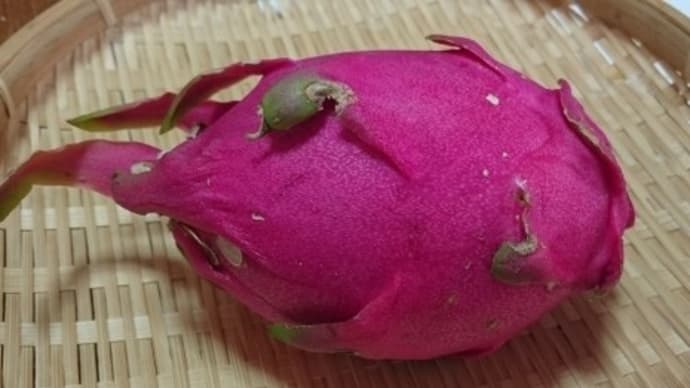 地元産ドラゴンフルーツ