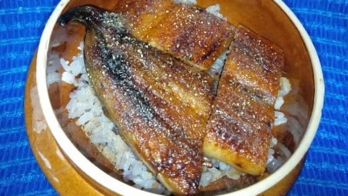 三重県産鰻蒲焼き尾側で鰻丼、焼き立てを昼食にしたんだね:D
