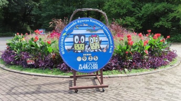 花散歩・武蔵丘陵森林公園