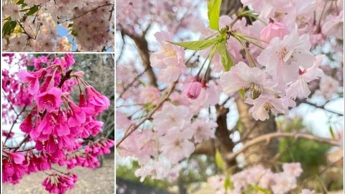 4月のこと