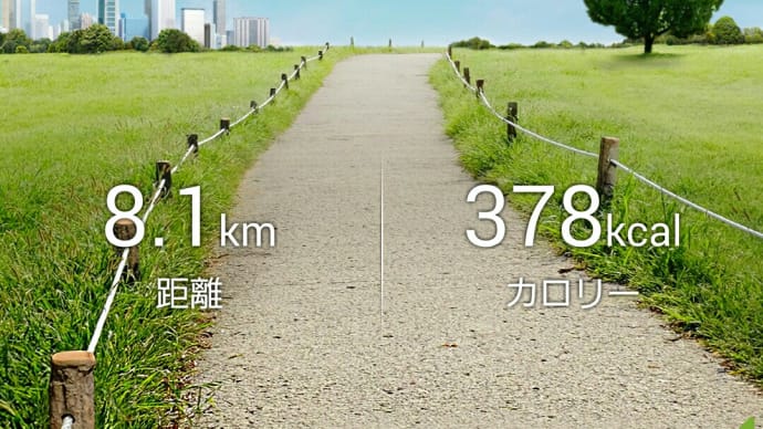 6月24日の歩数記録
