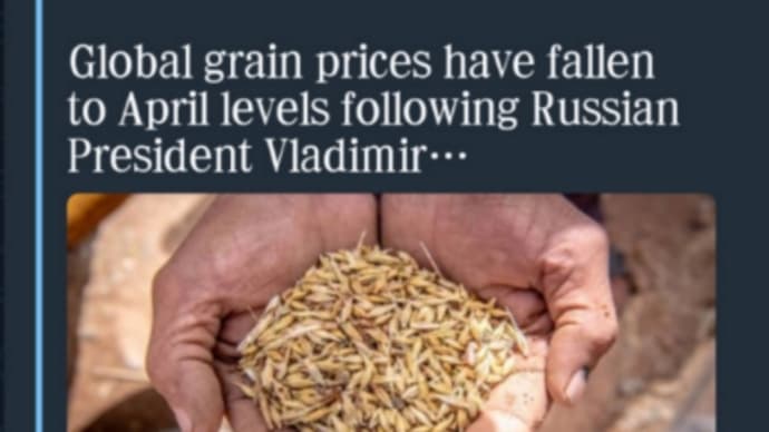 救世主プーチン大統領の公約で穀物(小麦)価格が下落!動物の飼料用トウモロコシの価格も下落!プーチンがウクライナの穀物をロシアの支配する黒海の港を通して安全に輸出することを約束したことを受け