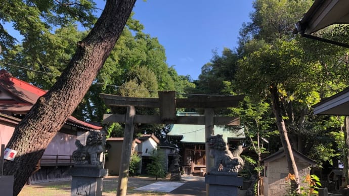 義母の通院