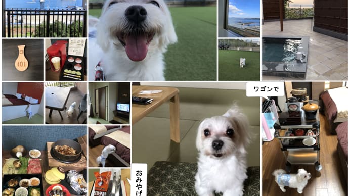 ハゲオ、初めてのお泊り体験➀　“安芸の御宿 みやじま庵 廣島”　