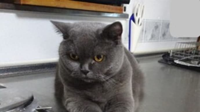食欲の秋。