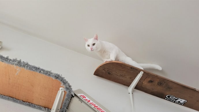 人間は通れないルート