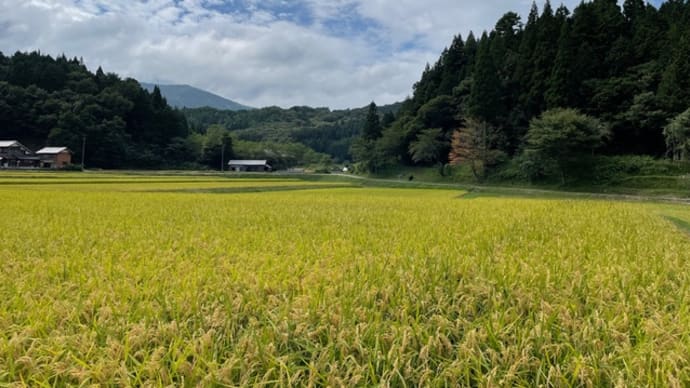 □9月発送□特別栽培米□