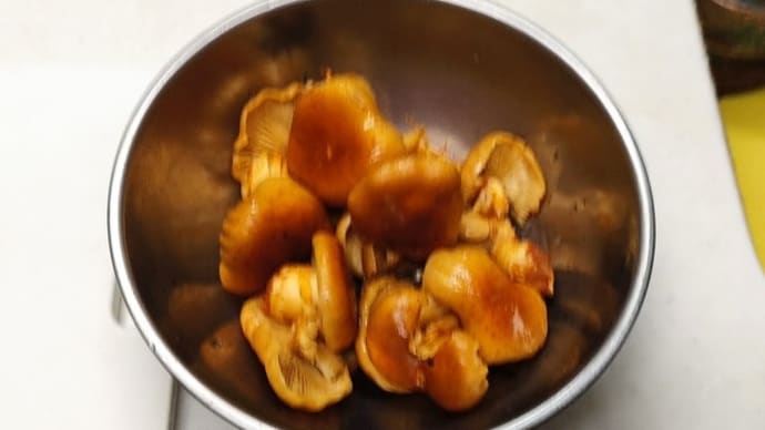 今年最後の収穫?なめこが採れた