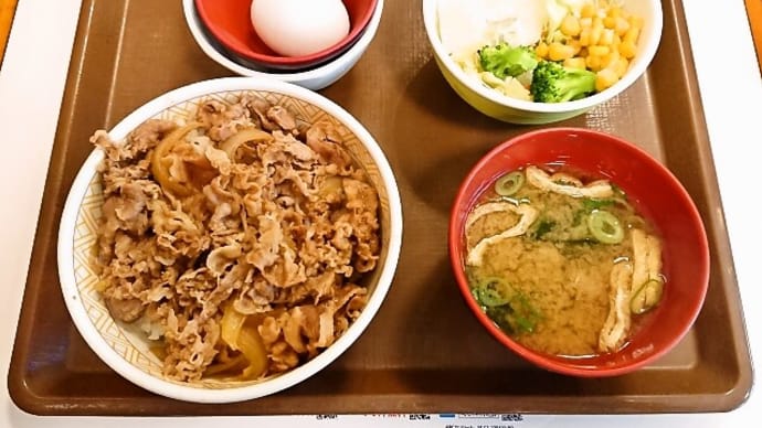すき家(新川永代橋店)で牛丼ランチセット(並盛)(2022年5月21日)