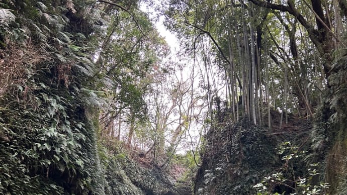 神秘の洞窟に行ってきました