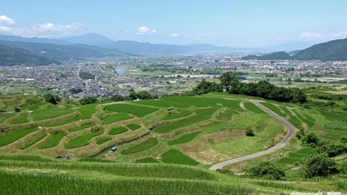 信州・更科 姨捨(おばすて)の棚田へ・・・・・・!