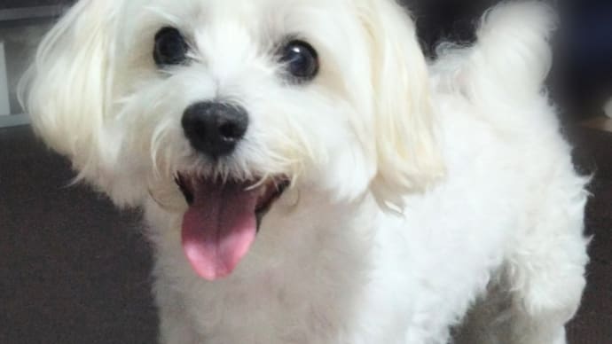 心配ありがとう!の事。