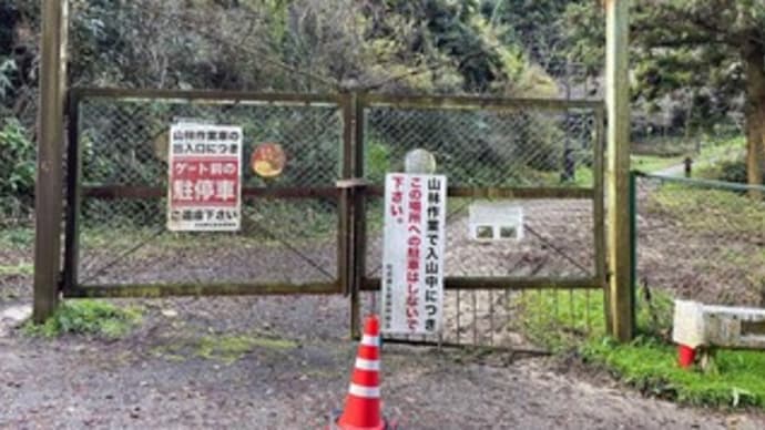 金剛山は水越峠から　もみじ谷