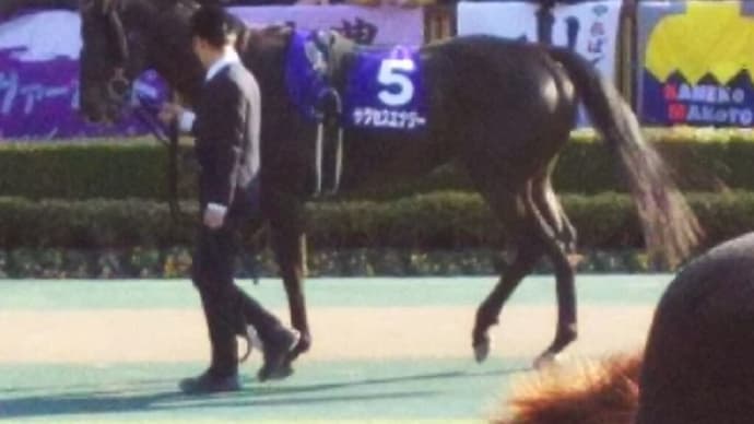 🐴きょうのおうまさん(21/9/23) オーバルスプリントなど重賞4競走