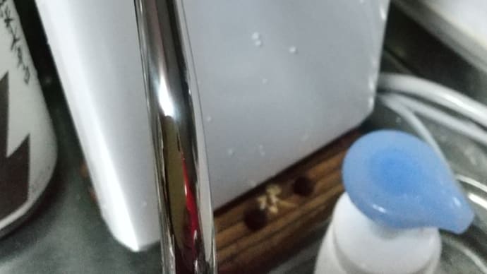 還元水素水生成器🐶