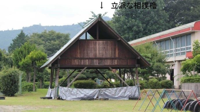 篠窪（しのくぼ）の隣町　秦野市柳川(上小学校）の相撲大会(2024/05/24)