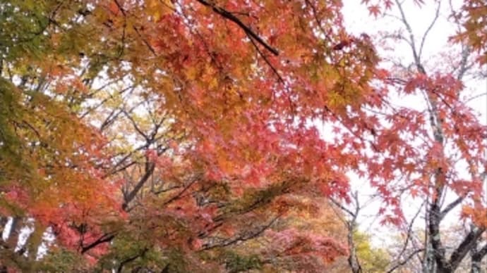 晴れの土曜日です